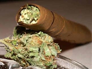 Click image for larger version

Name:	2blunts.jpg
Views:	15
Size:	17.7 KB
ID:	176554