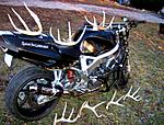 Click image for larger version

Name:	pictureofpracticebike4wilbur (2).jpg
Views:	21
Size:	149.5 KB
ID:	194361