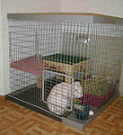 Click image for larger version

Name:	Cage-Dolce.jpg
Views:	9
Size:	60.8 KB
ID:	198686