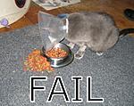 Click image for larger version

Name:	fail5.jpg
Views:	34
Size:	64.0 KB
ID:	210863