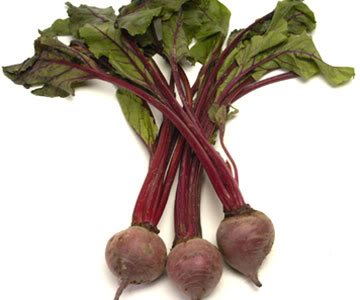 Name:  beets.jpg
Views: 5
Size:  17.8 KB