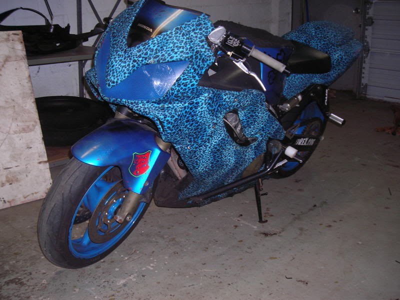 Name:  bikepics007.jpg
Views: 4
Size:  78.3 KB