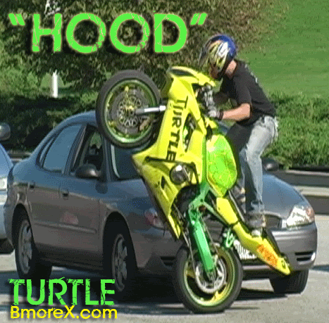 Name:  turtle-hood.gif
Views: 11
Size:  137.4 KB