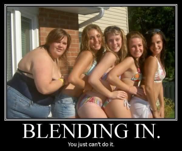 Name:  BlendingIn.jpg
Views: 3
Size:  40.2 KB