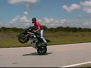 Name:  wheelie3.jpg
Views: 10
Size:  11.7 KB