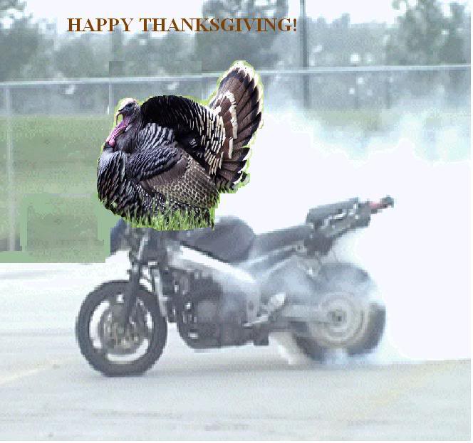 Name:  TURKEYBURNOUT.jpg
Views: 2
Size:  55.7 KB