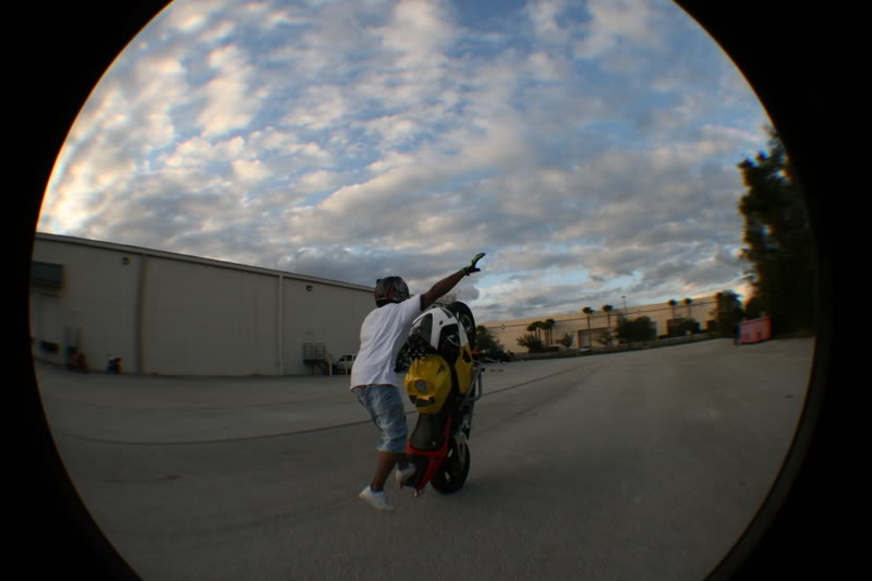 Name:  fisheye195.jpg
Views: 6
Size:  42.9 KB