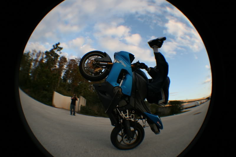 Name:  fisheye202-1.jpg
Views: 14
Size:  48.8 KB