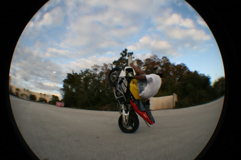 Name:  fisheye201.jpg
Views: 11
Size:  45.0 KB