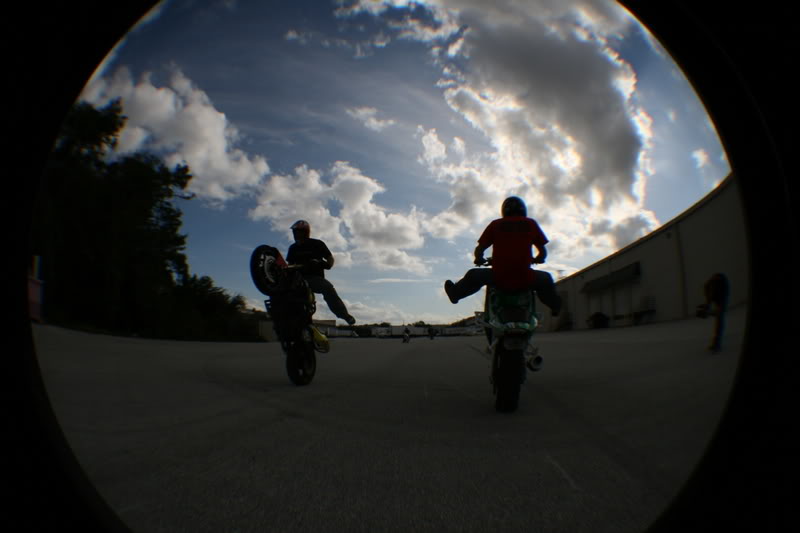 Name:  fisheye114.jpg
Views: 25
Size:  40.4 KB