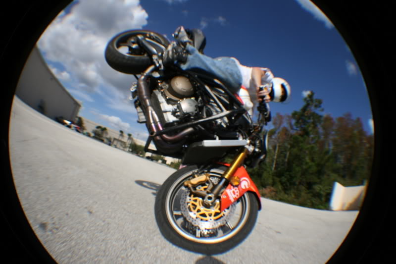 Name:  fisheye081.jpg
Views: 12
Size:  60.7 KB