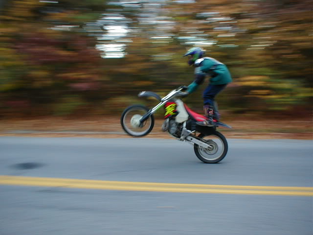 Name:  seatwheelie.jpg
Views: 3
Size:  42.9 KB